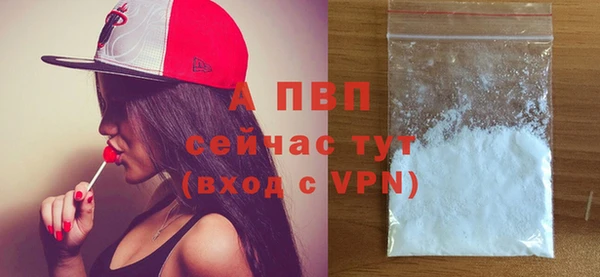 гашик Богданович