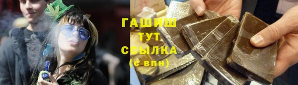 гашик Богданович