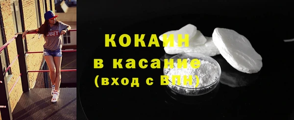 гашик Богданович