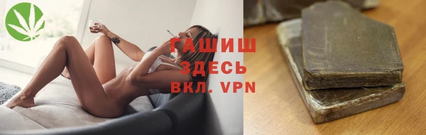 гашик Богданович