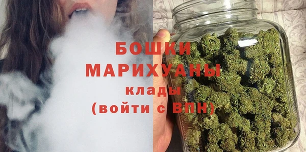 гашик Богданович