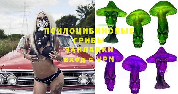 спиды Богородск