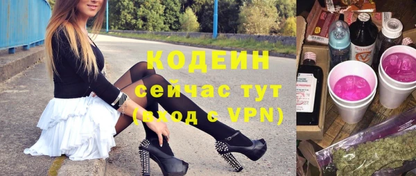 гашик Богданович