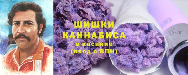 спиды Богородск