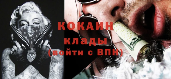 гашик Богданович