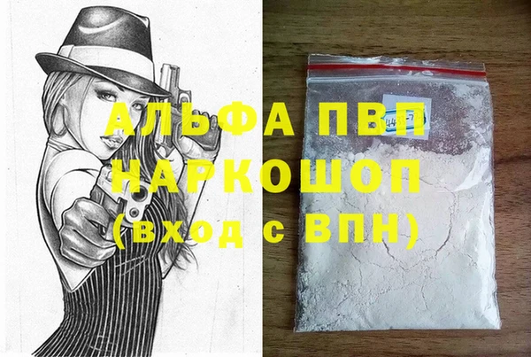 гашик Богданович