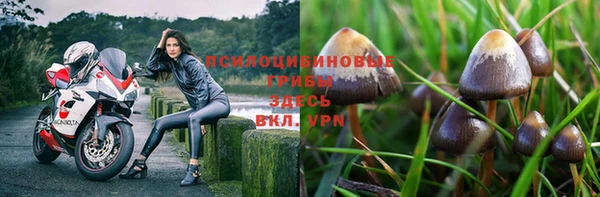кокаин Богородицк