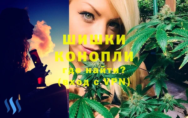 спиды Богородск